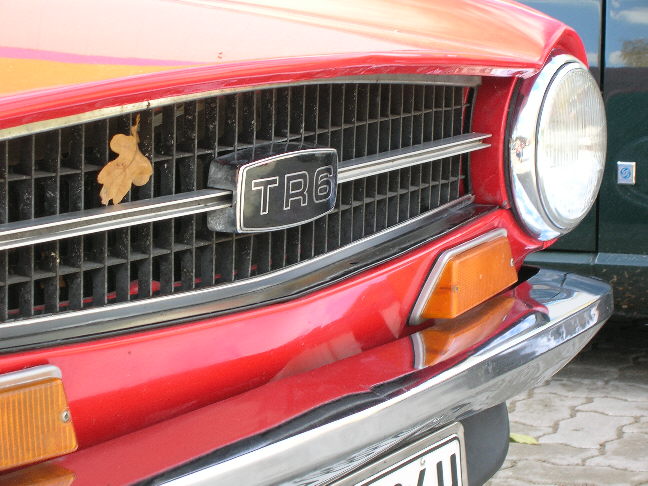 Saisonabschluss der Heidebriten 2006